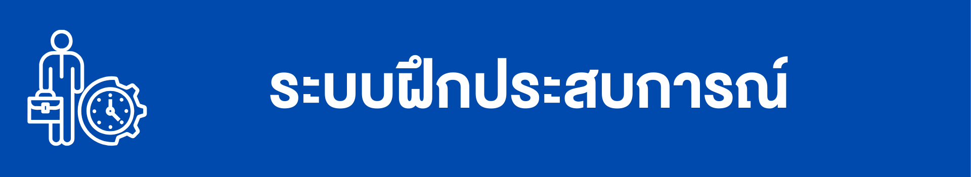 ระบบฝึกประสบการณ์
